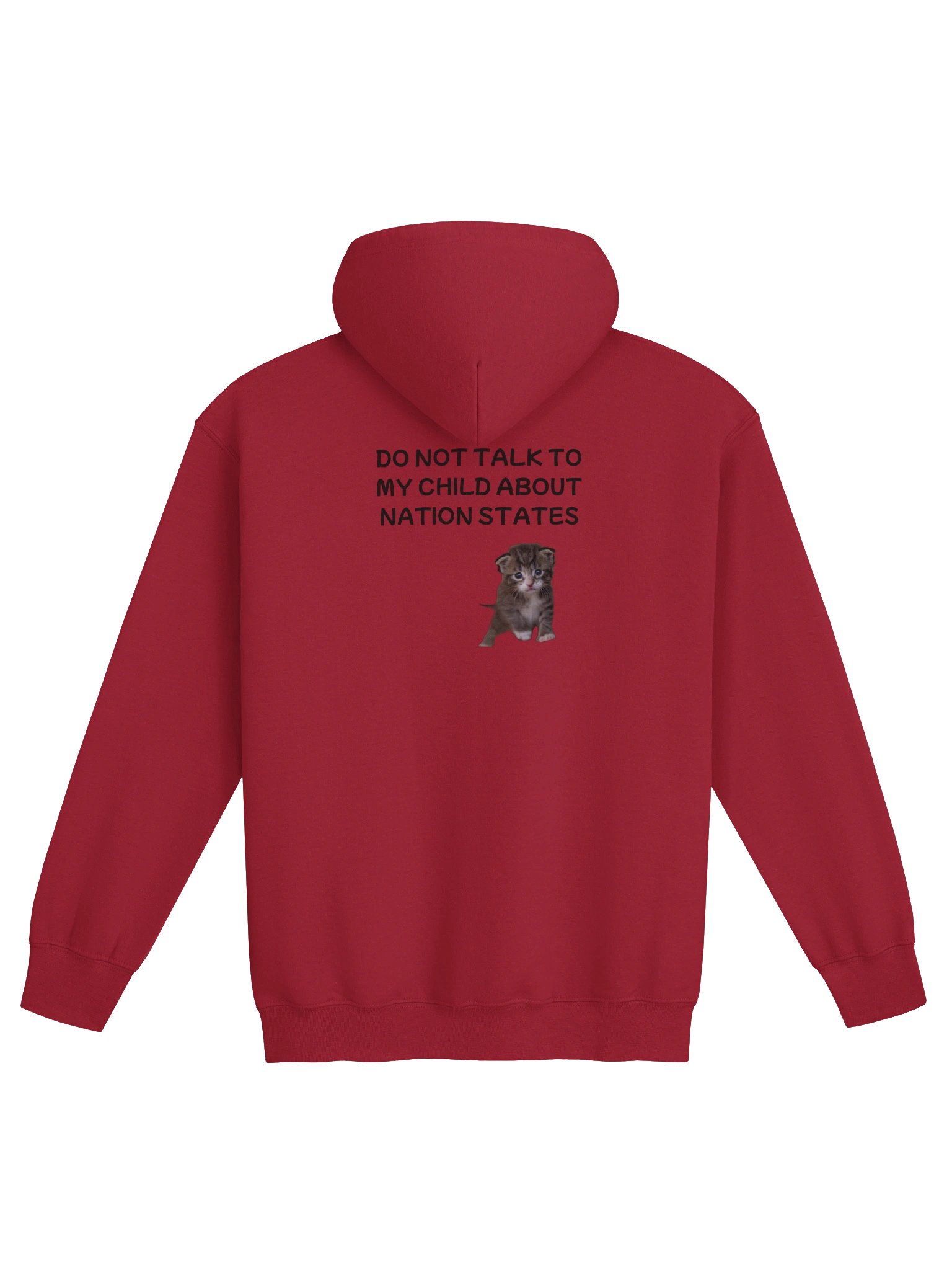 Do Not Talk to My Child About Nation States Zip Hoodie product image (9)