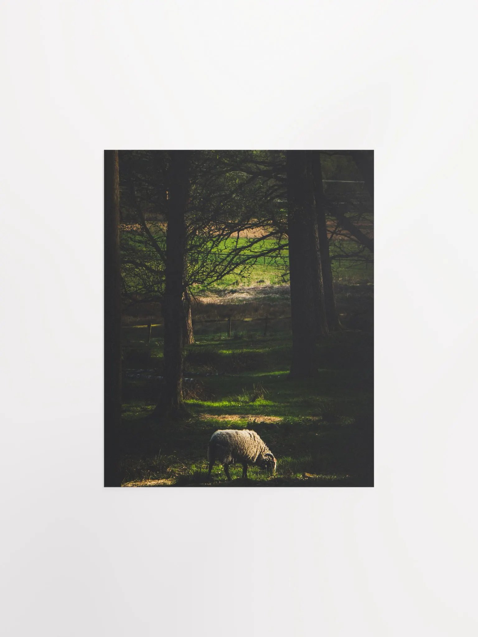 The Goat product image (2)