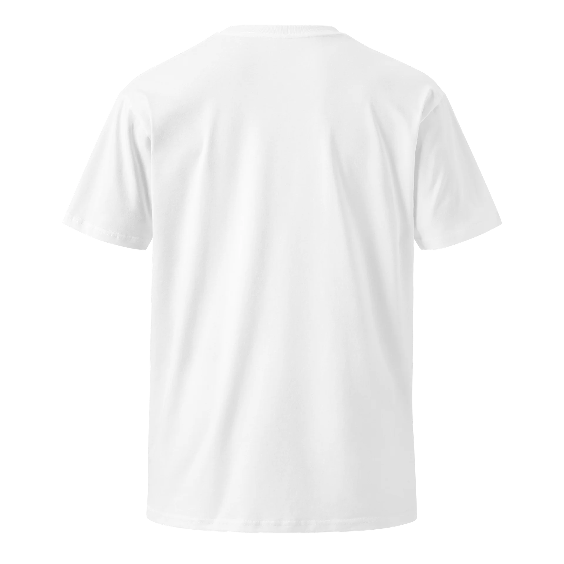 Take Out Junkie - Asian Food Lover - White AS Colour Unisex Premium T-Shirt product image (4)