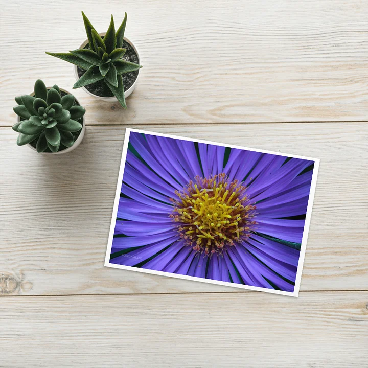 Aster-Licious Greeting Card product image (1)