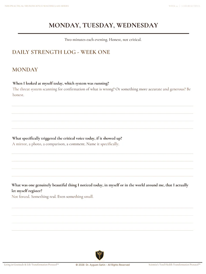 The BEAUTY PERCEPTION AUDIT product image (2)