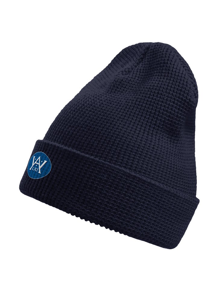 Weyla LXI Blue Sigil Waffle Knit Hat product image (8)