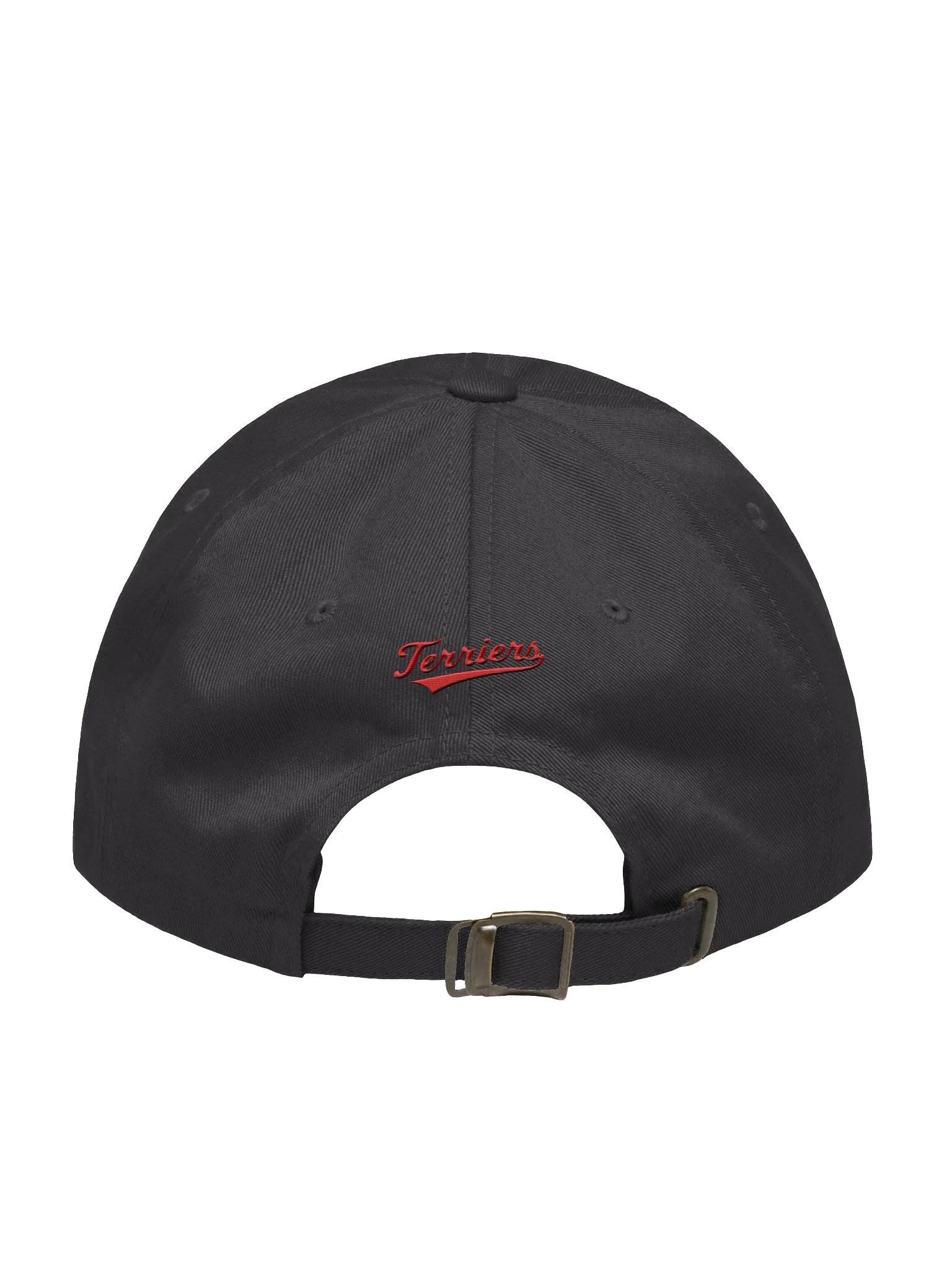 Galt Terriers Dad Hat product image (5)