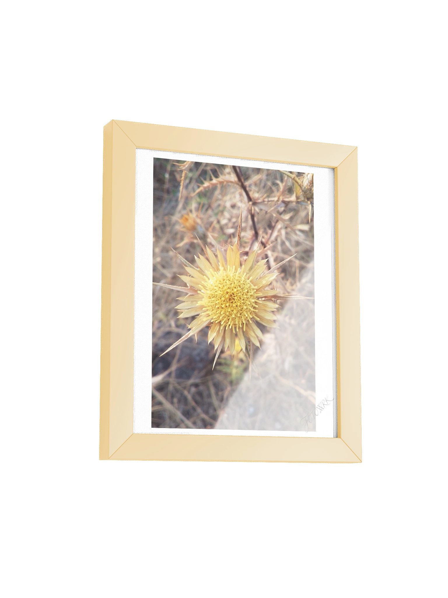 Thistle - Rustic Fine Art Botanical Matte Poster product image (3)