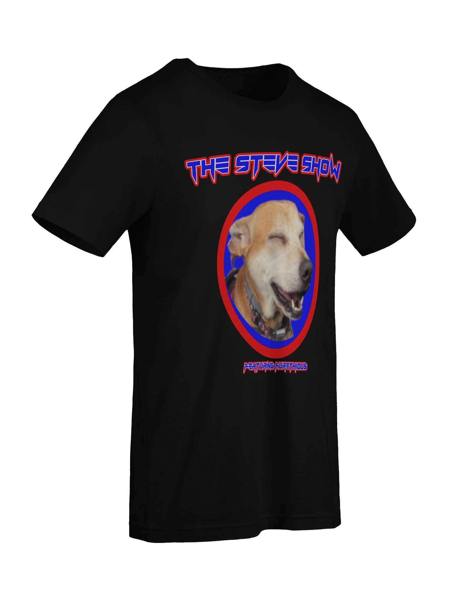 The Steve Show T-Shirt product image (35)