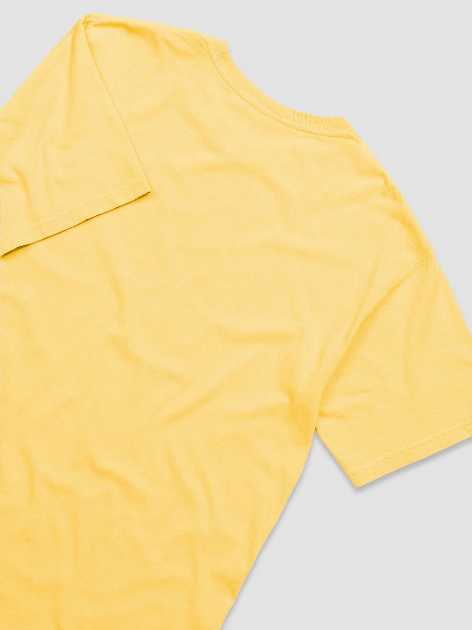 Comfort Colors Garment-Dyed Heavyweight T-Shirt: Devon Rex product image (36)