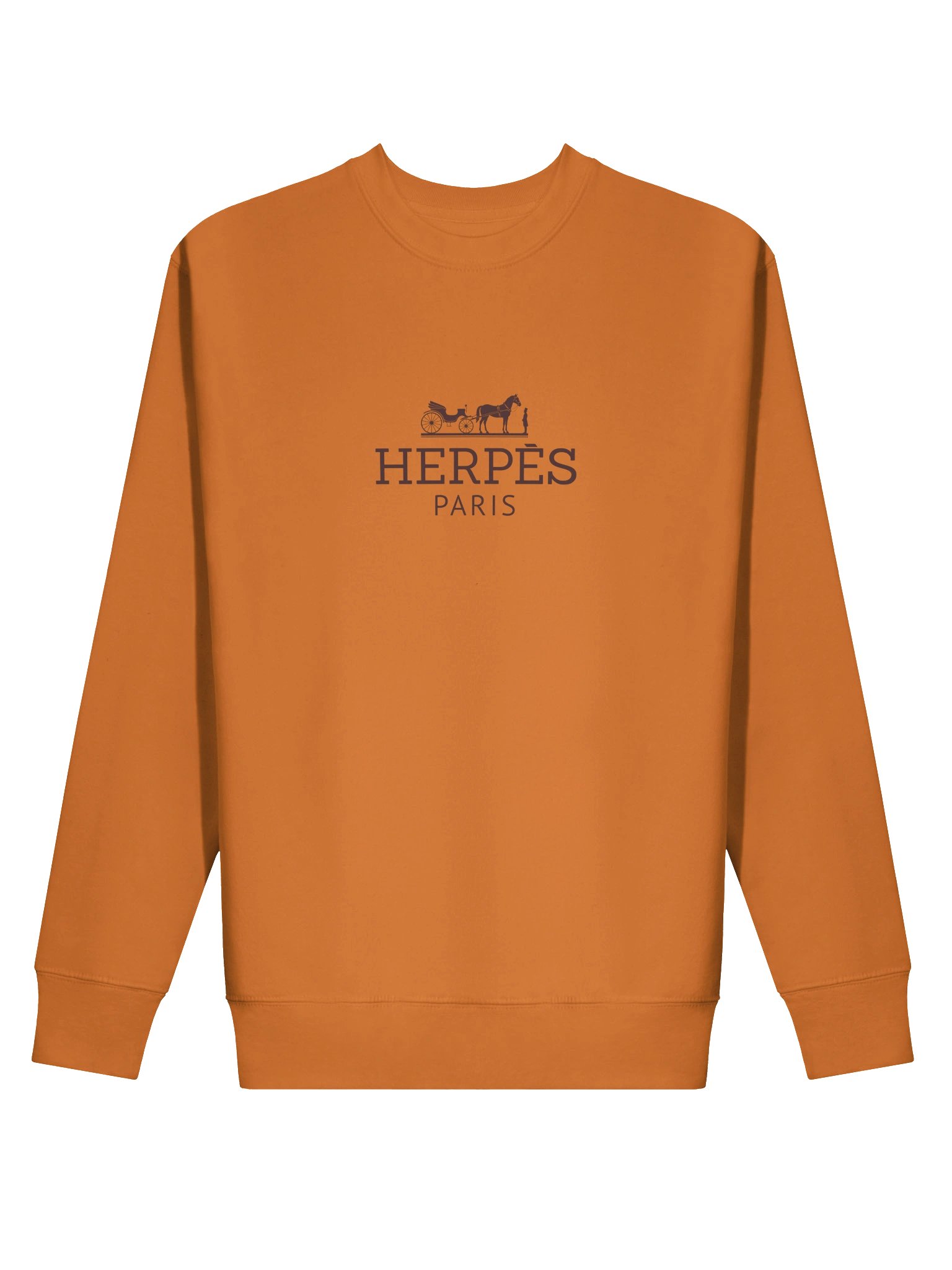 Herpès Unisex Sweatshirt product image (2)
