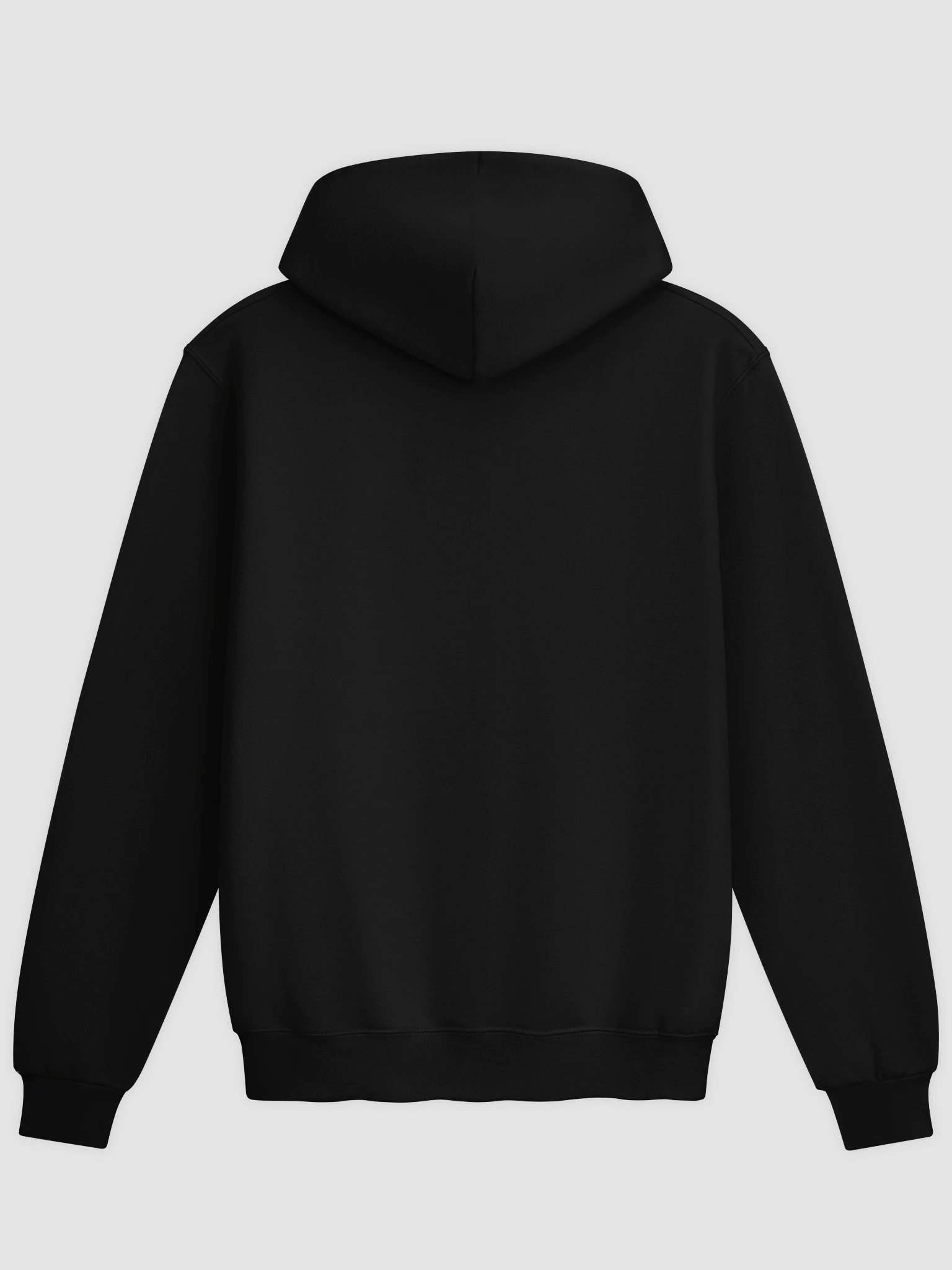 KS77™ Champion Hoodie product image (2)
