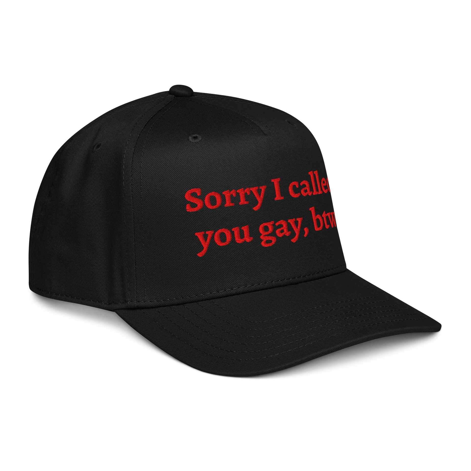 sorry i called you gay btw hat product image (4)