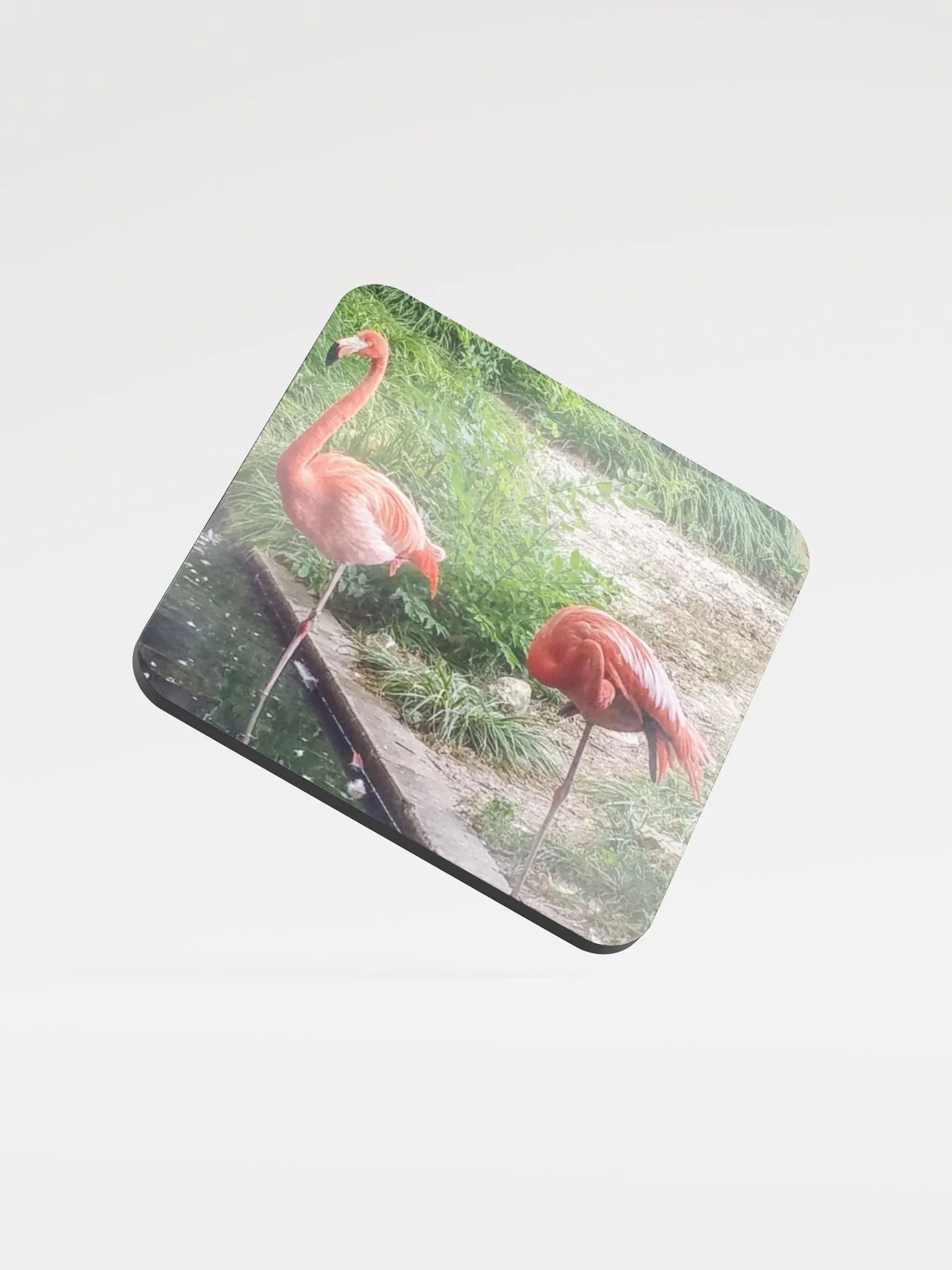 "Buckie" Coasters product image (3)