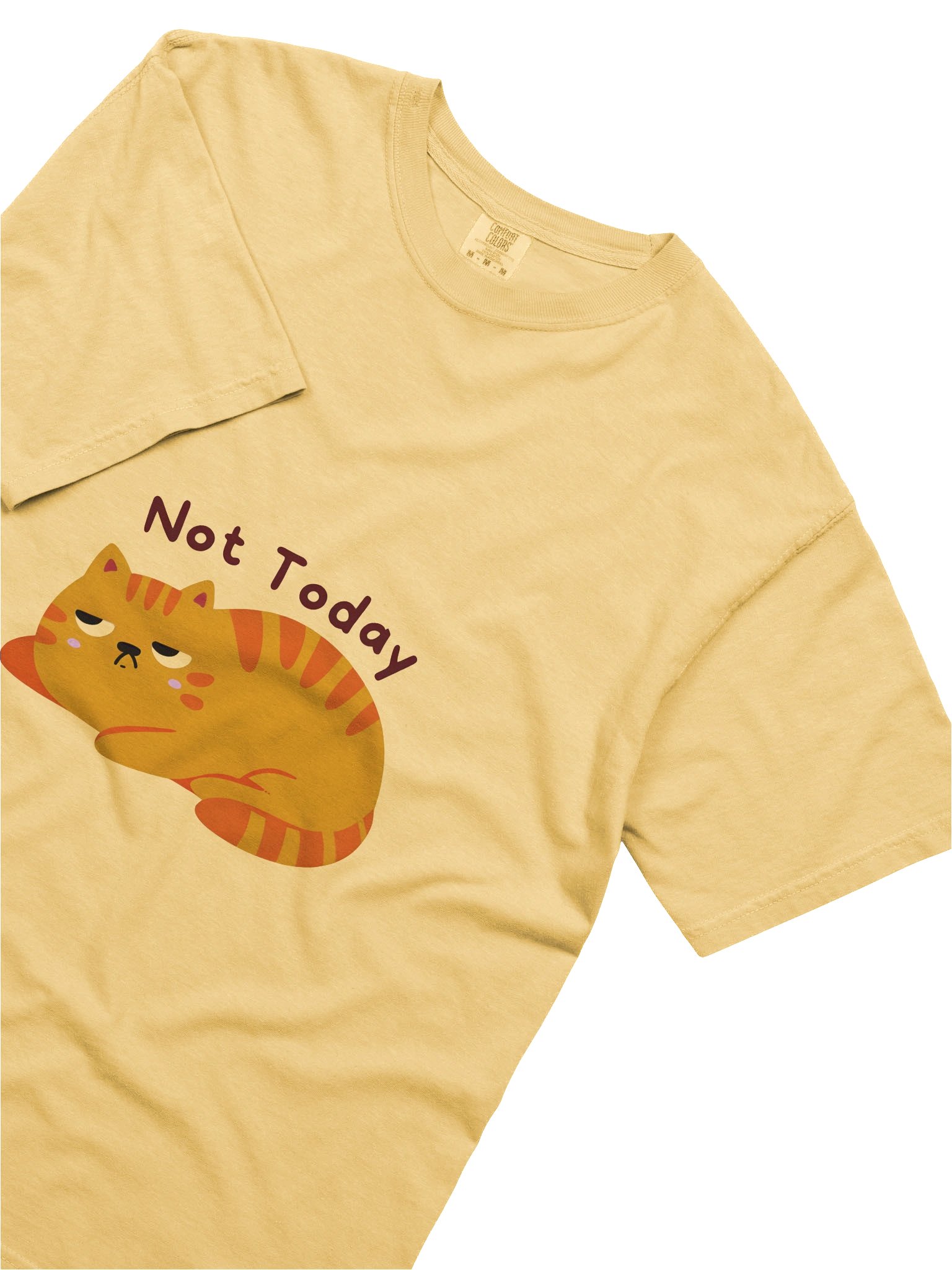 Not Today Tabby T-Shirt product image (27)