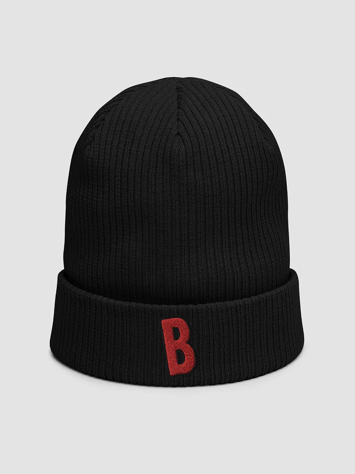 bisnap Logo Beanie product image (1)