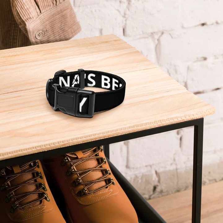 Xena's Best Boy Collar product image (4)