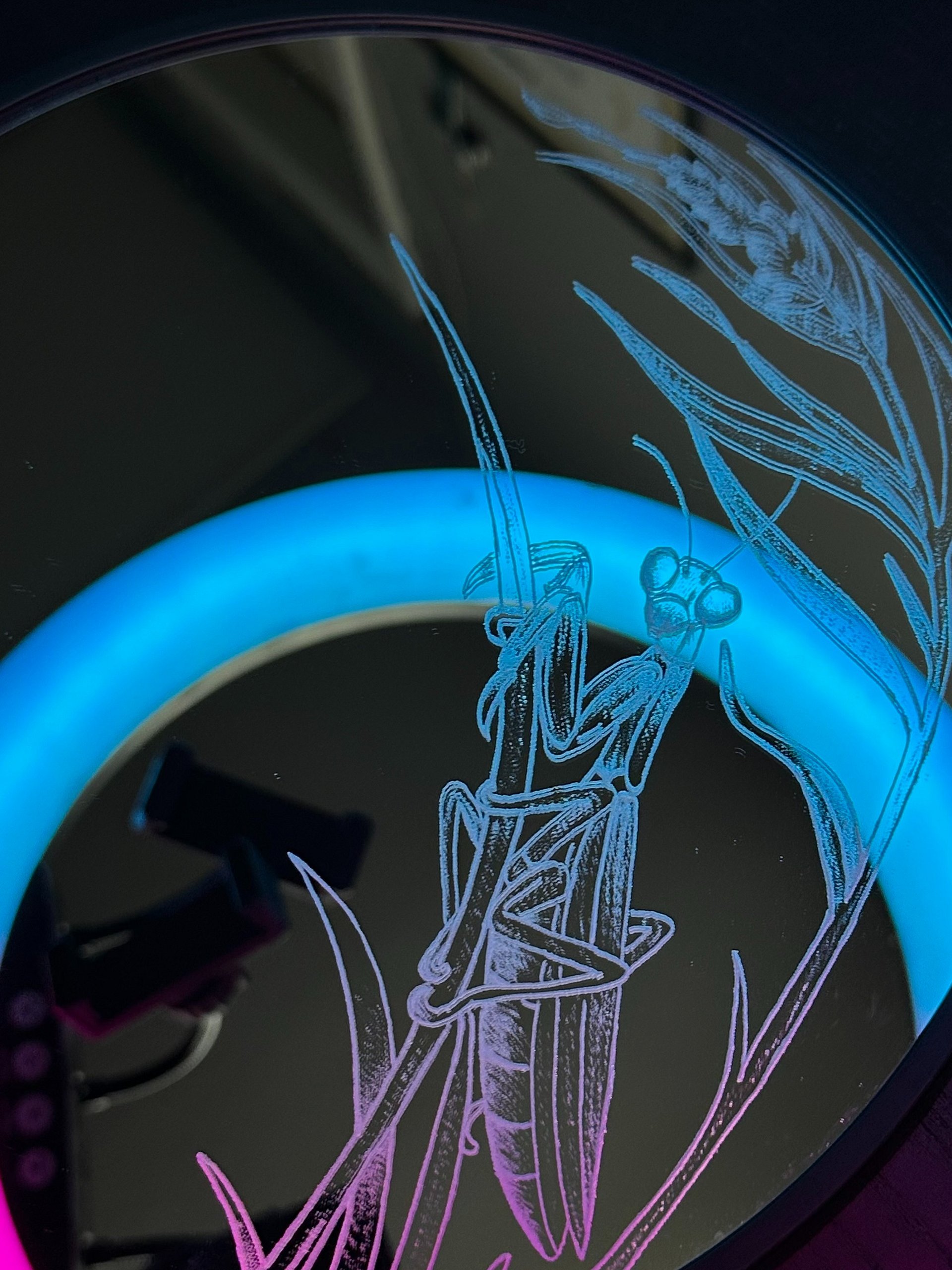 Praying Mantis Mirror product image (2)