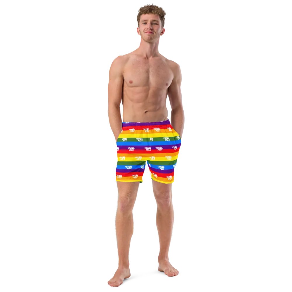 MSLA Pride - Swim Trunks product image (10)