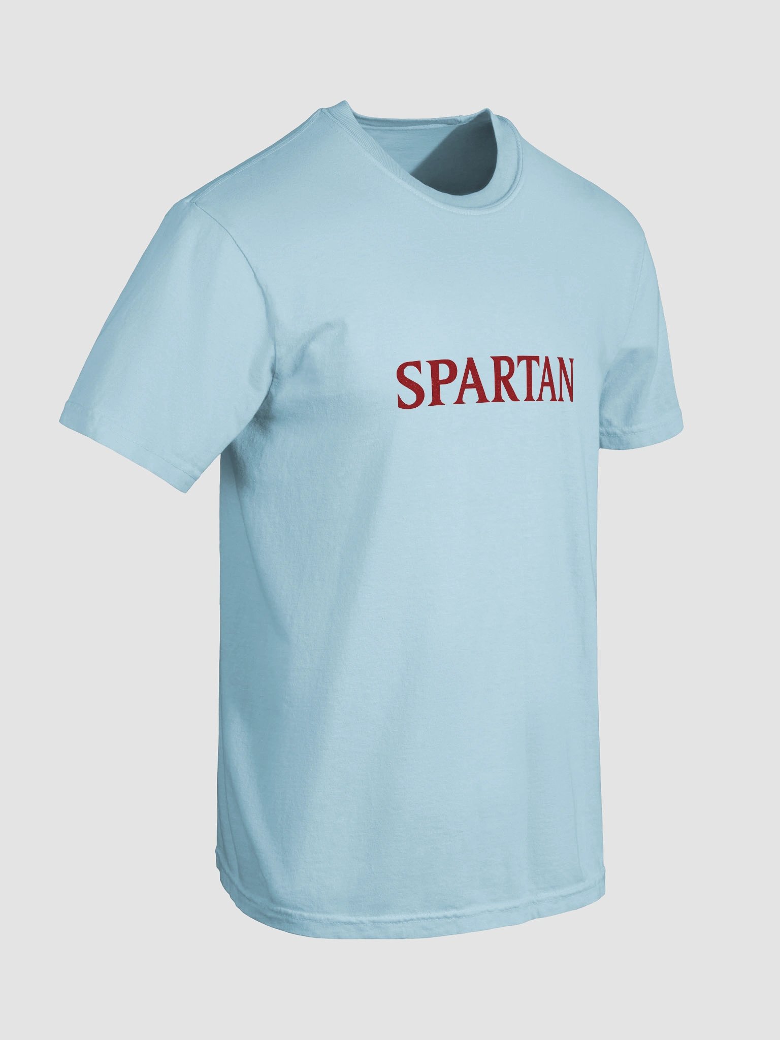SPARTAN Sentinel Tee product image (7)