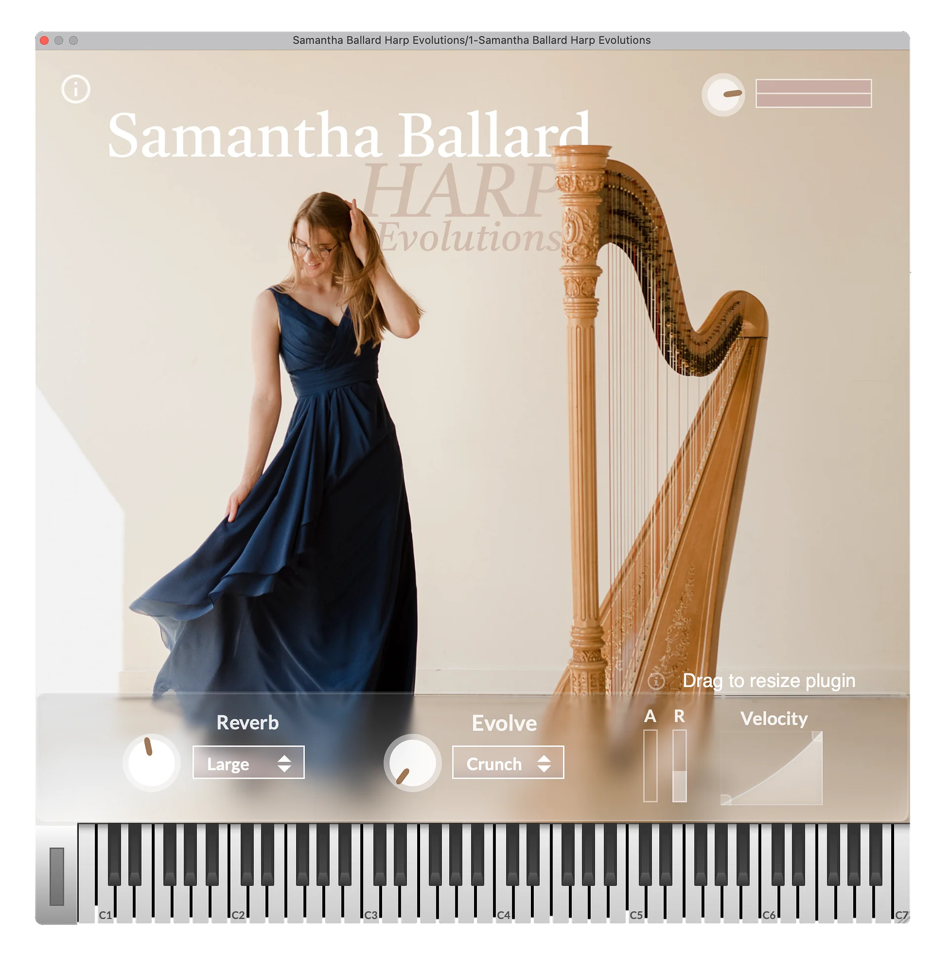 Samantha Ballard Harp Evolutions product image (3)