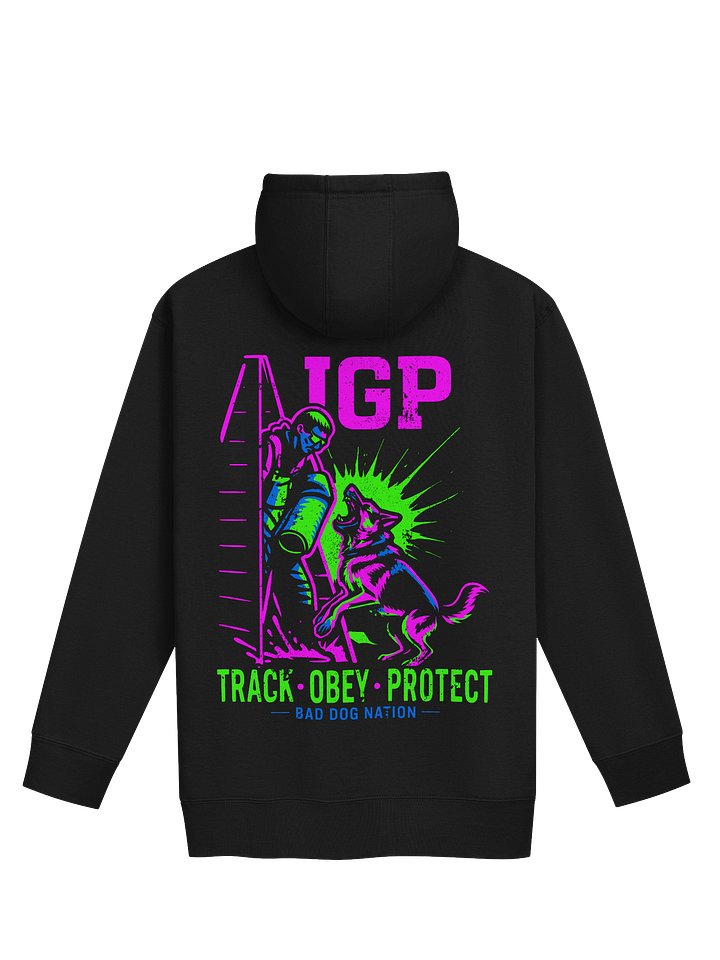 IGP 80's vintage bright - Premium Adult Unisex Hoodie product image (1)