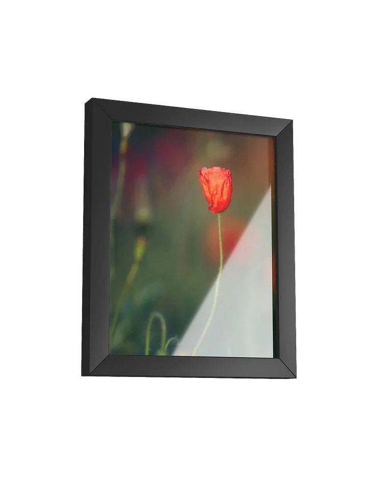 Solitary Bloom Framed Matte Poster product image (7)
