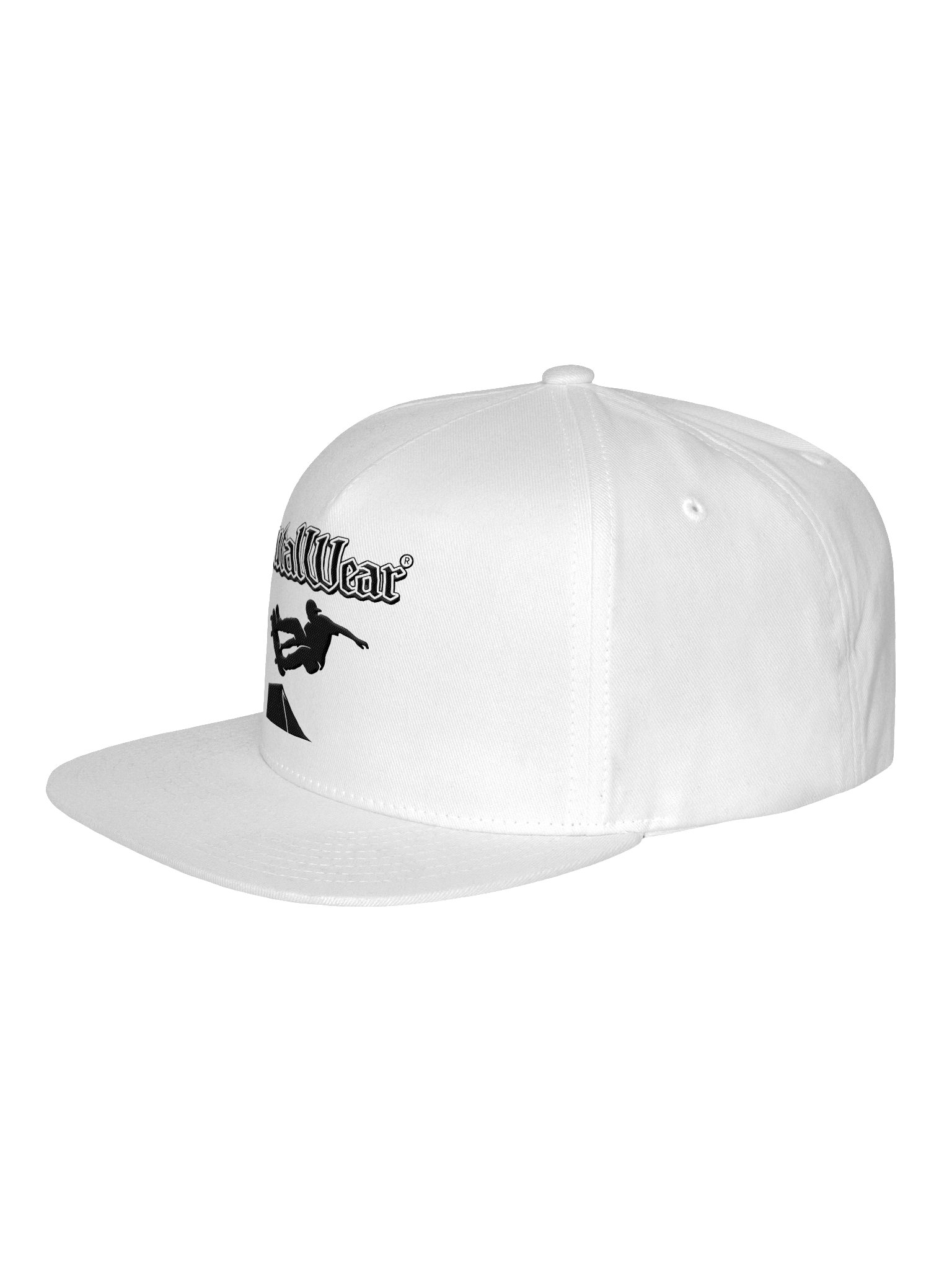 BWEAR SK8TER FLATBILL 1 HAT product image (26)