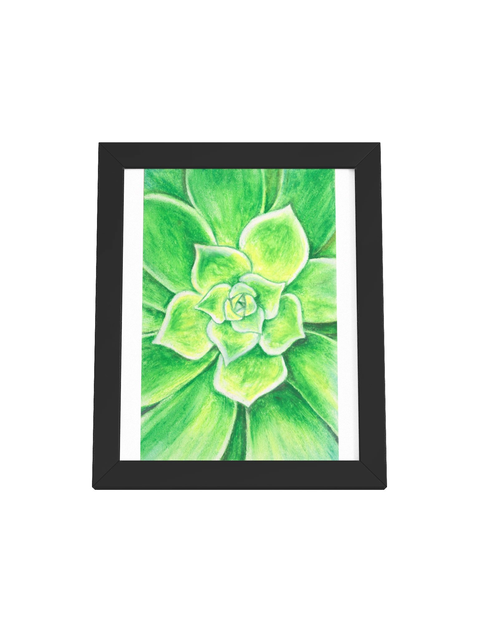 Succulent product image (4)