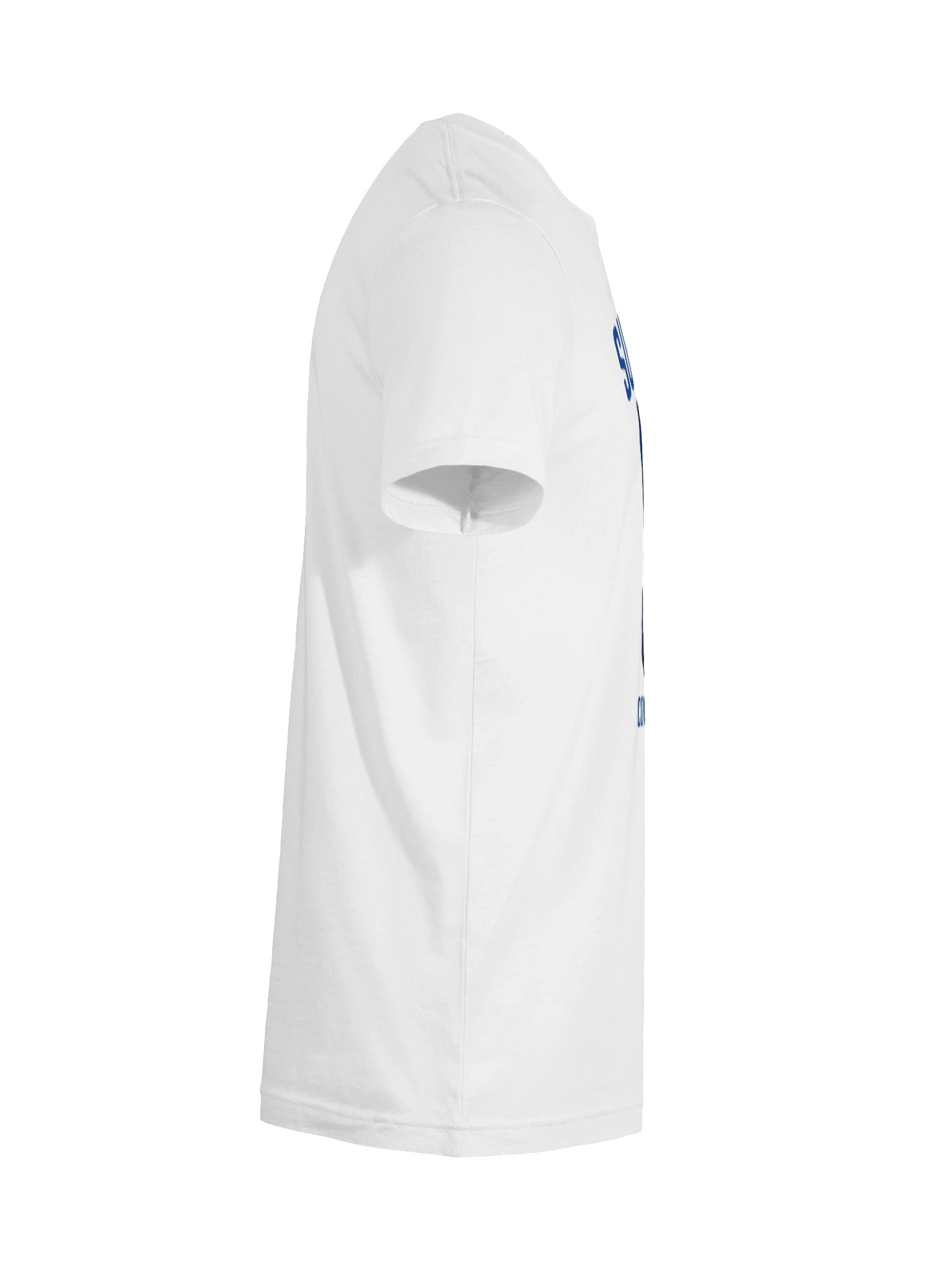 BUF - Sunday Concessions Can Tee product image (12)