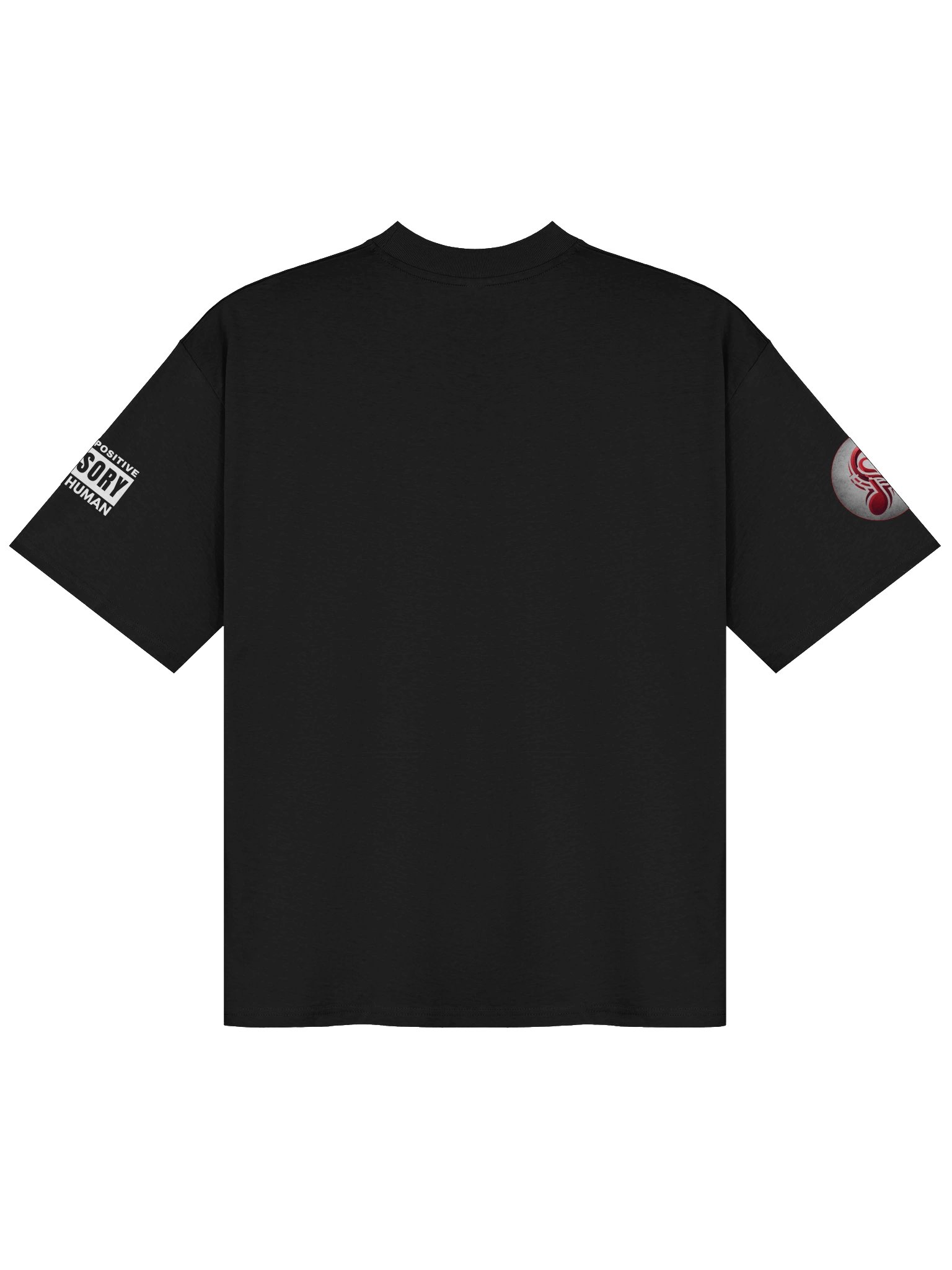 Official "JukeBrio" T-Shirt (Oversized) product image (8)