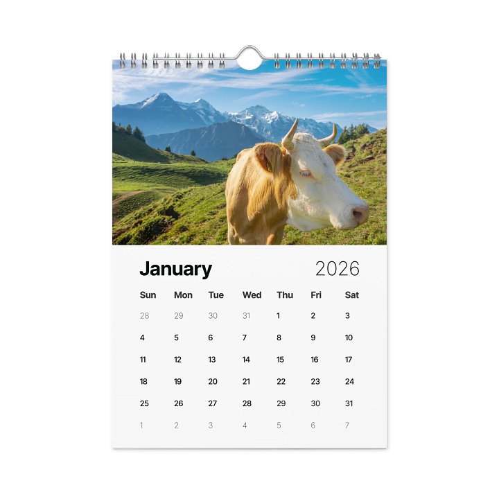 Swiss Cow Calendar 2026 product image (2)