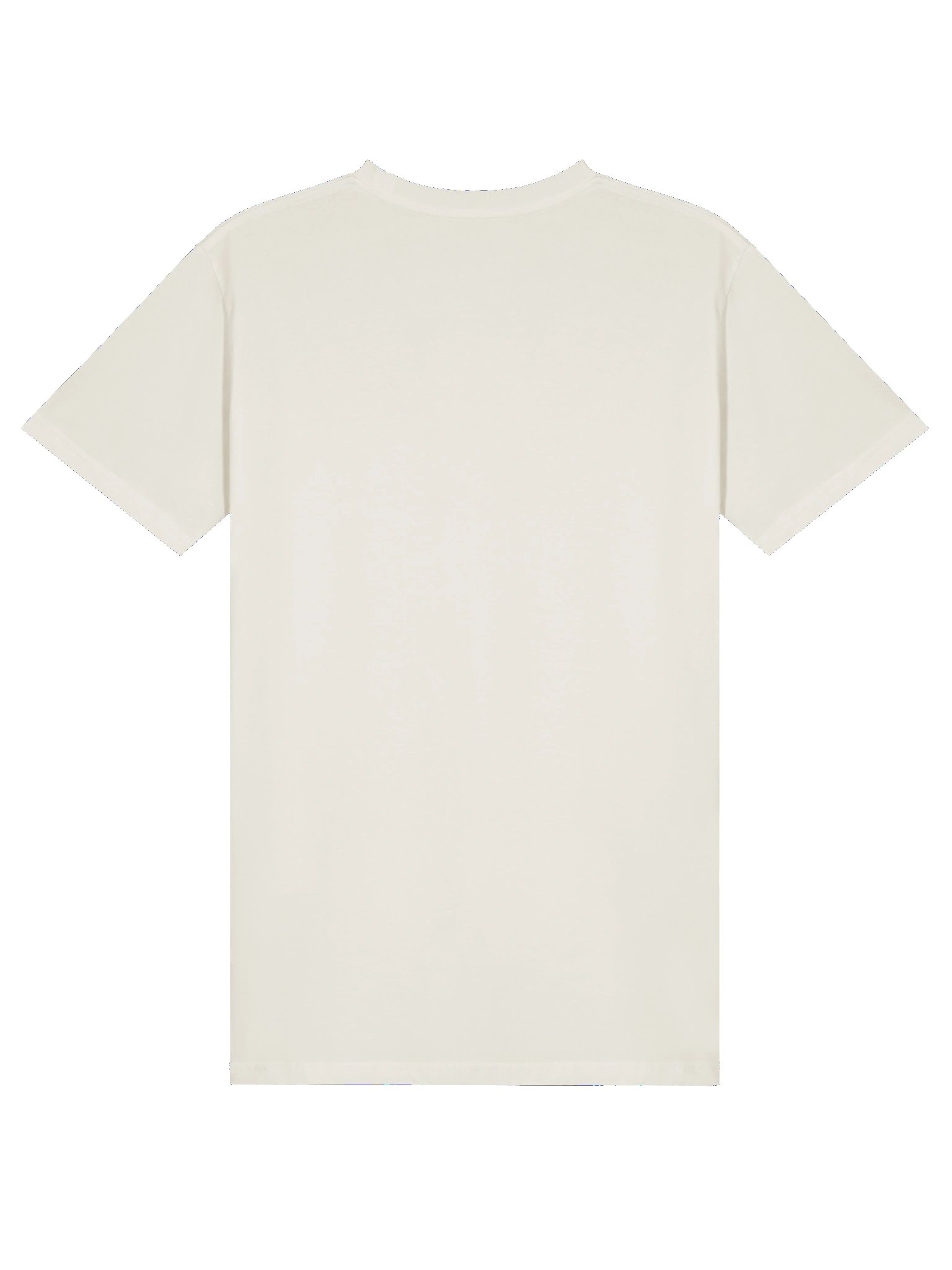 Sane When You Came Tee product image (8)