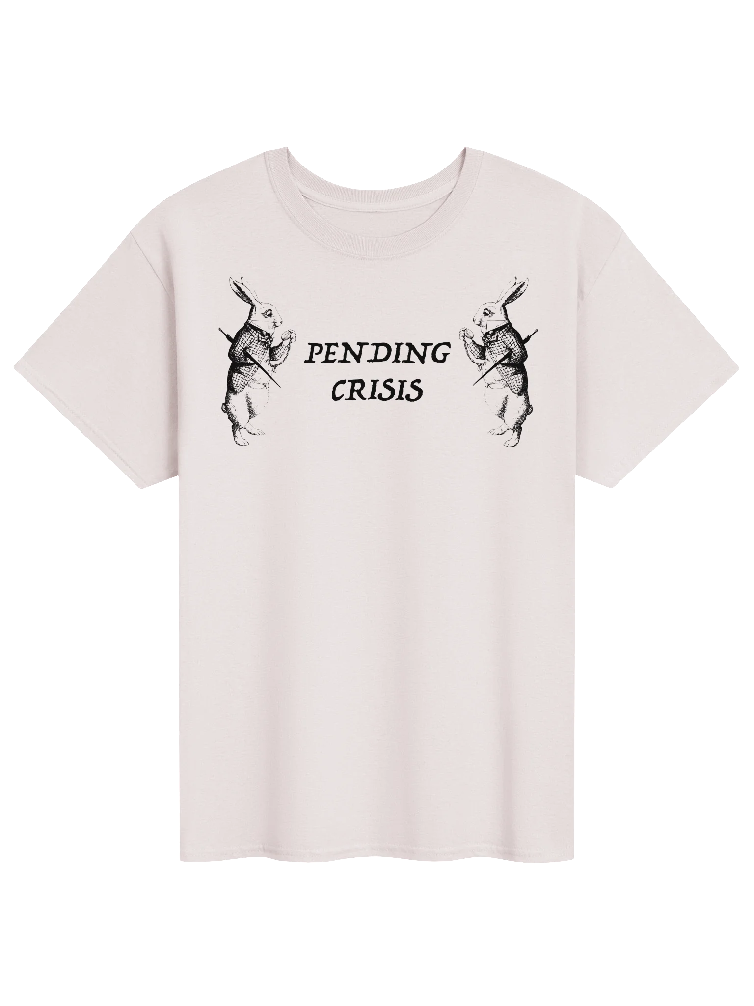 PENDING CRISIS product image (31)