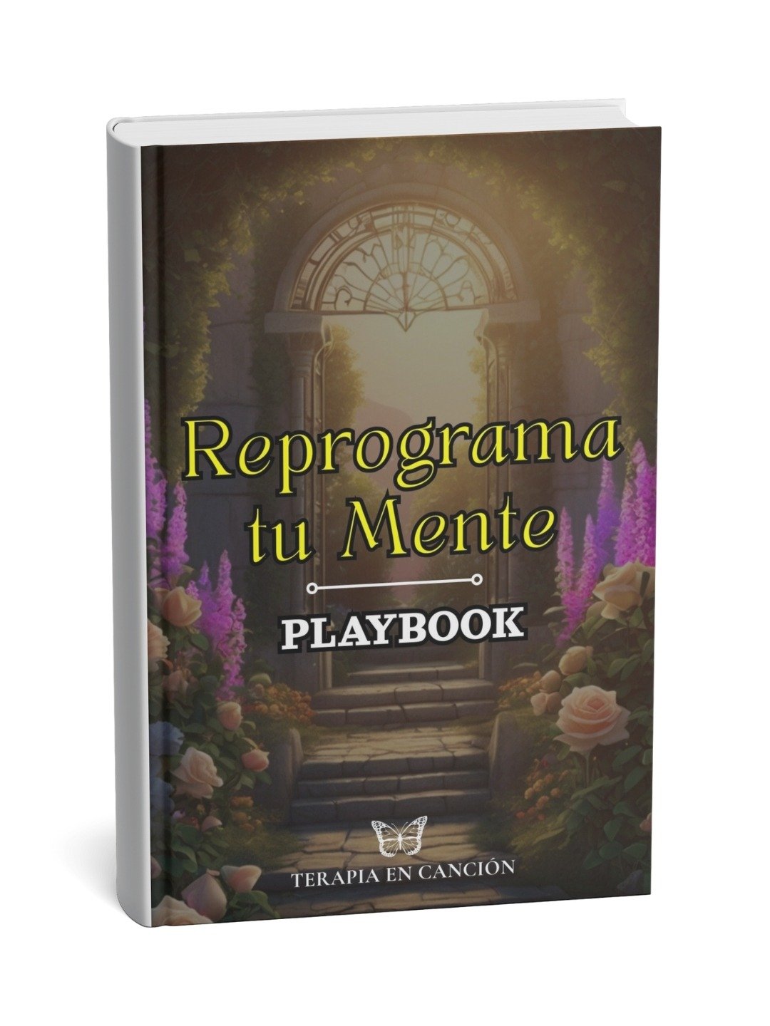 Playbook Digital - Reprograma tu Mente product image (1)