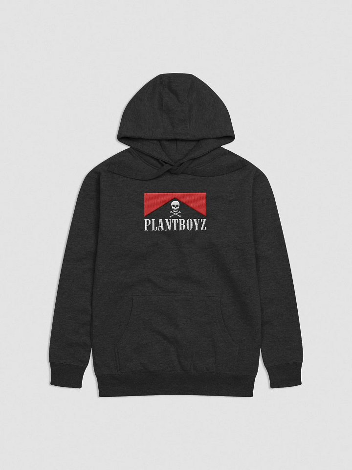 Flavor Country embroidered hoodie product image (1)
