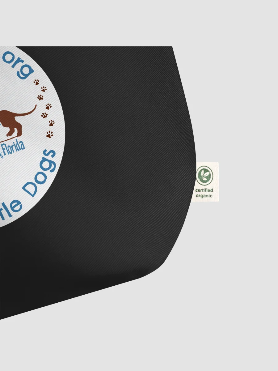 [LowRiderRescueFL] Large Eco Tote - Econscious EC8001 -1 product image (3)