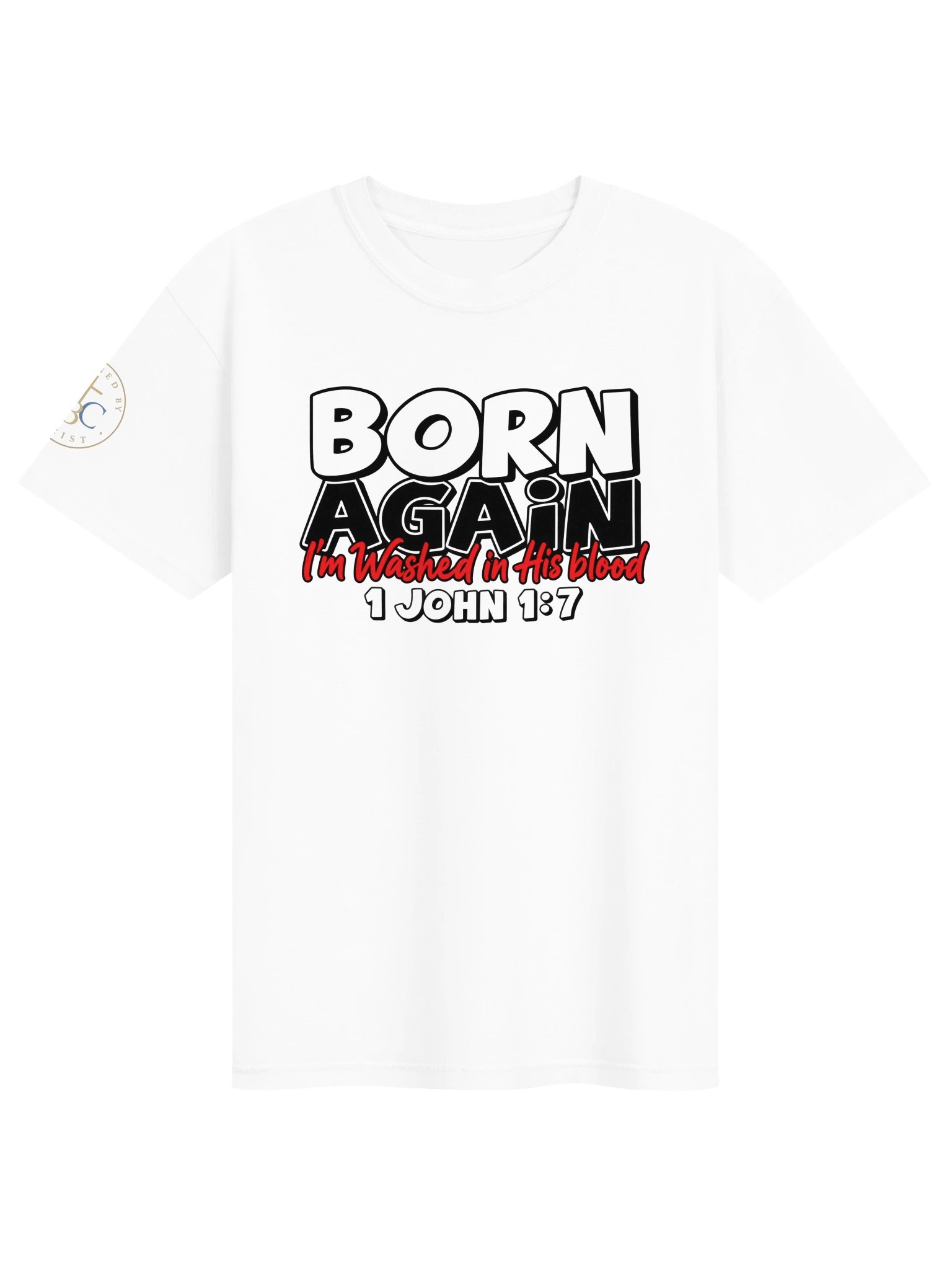 Biblical Truths: Born Again product image (3)