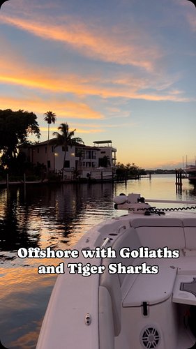 60 miles offshore catching Goliath Groupers (on accident) and dodging Tiger Sharks