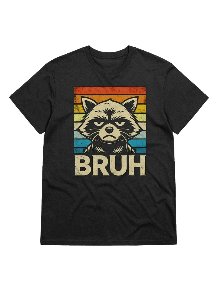 Raccoon Bruh Retro Rainbow product image (2)