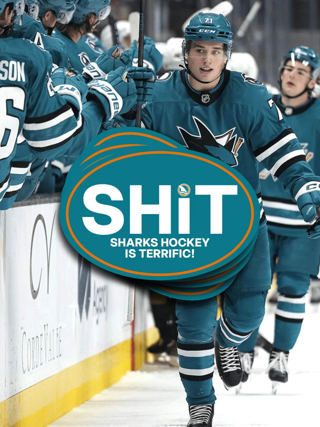SH*T Hockey Team Stickers product image (2)