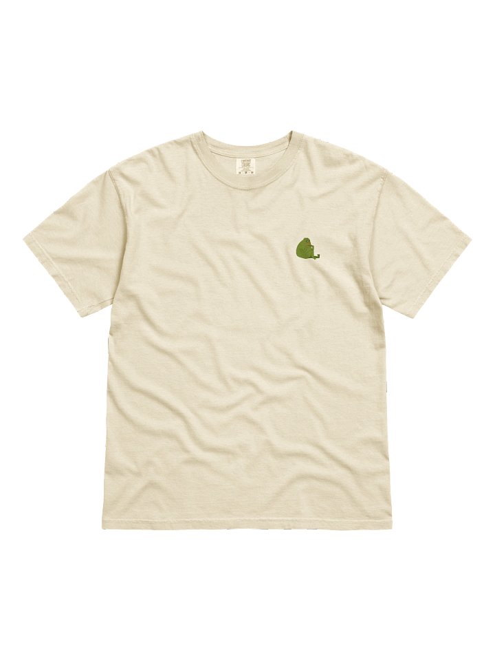 Garment Dye Vintage Groyper Tee product image (8)