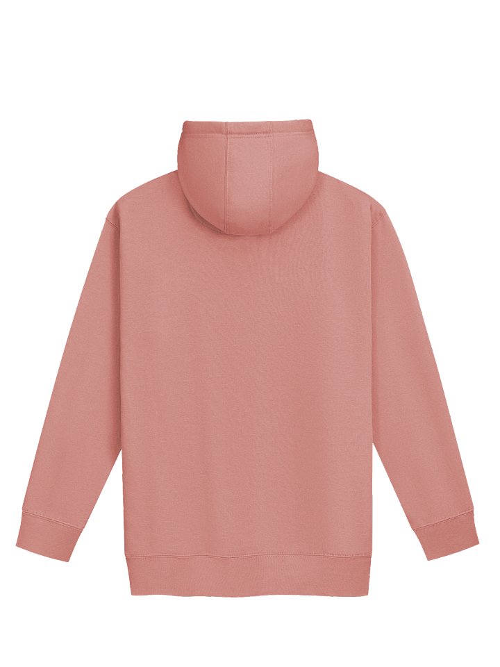 Dusty Rose - Plur Graffiti Hoodie product image (2)
