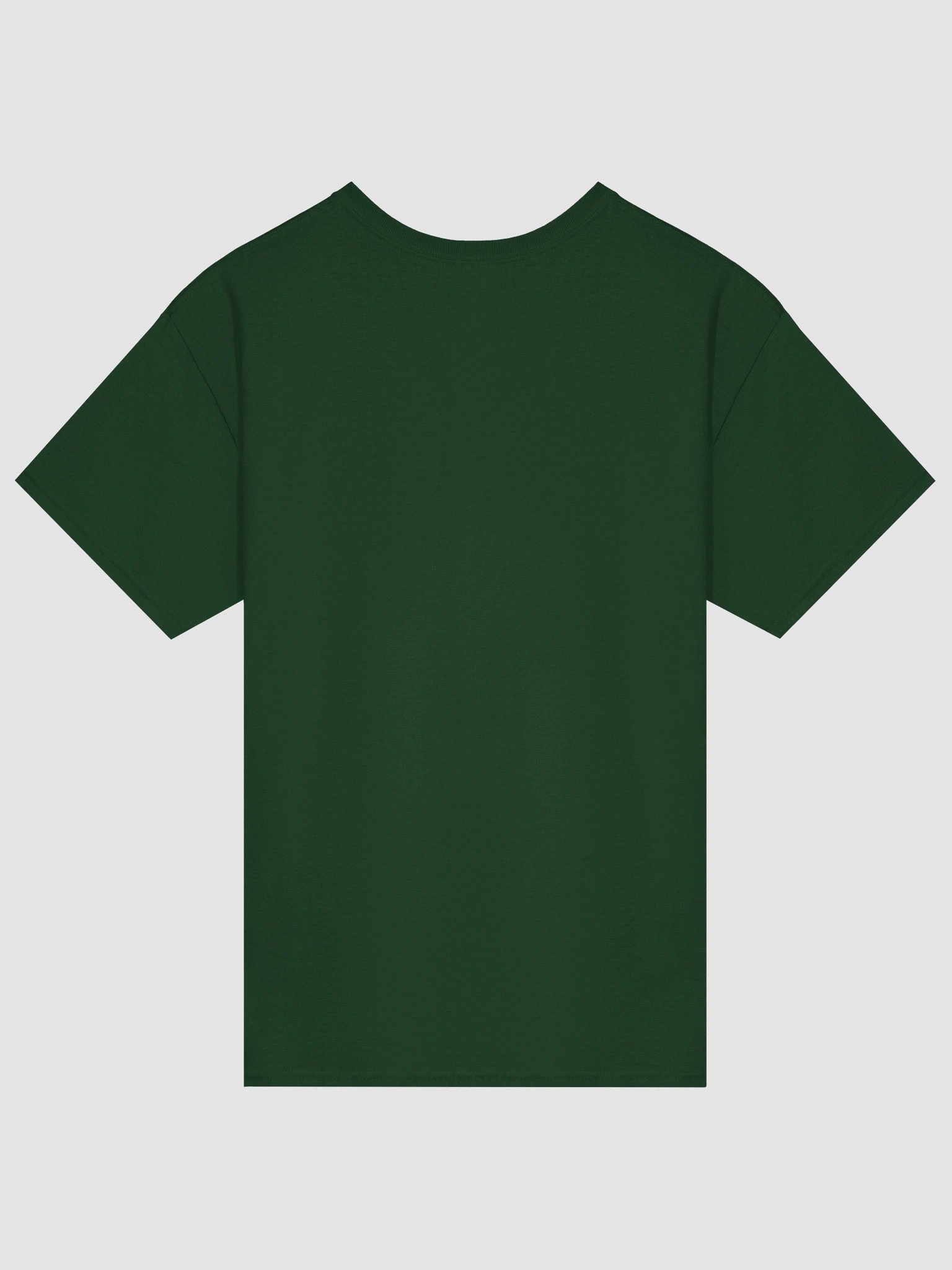 Chat Am I Cooked Frog T-shirt product image (3)