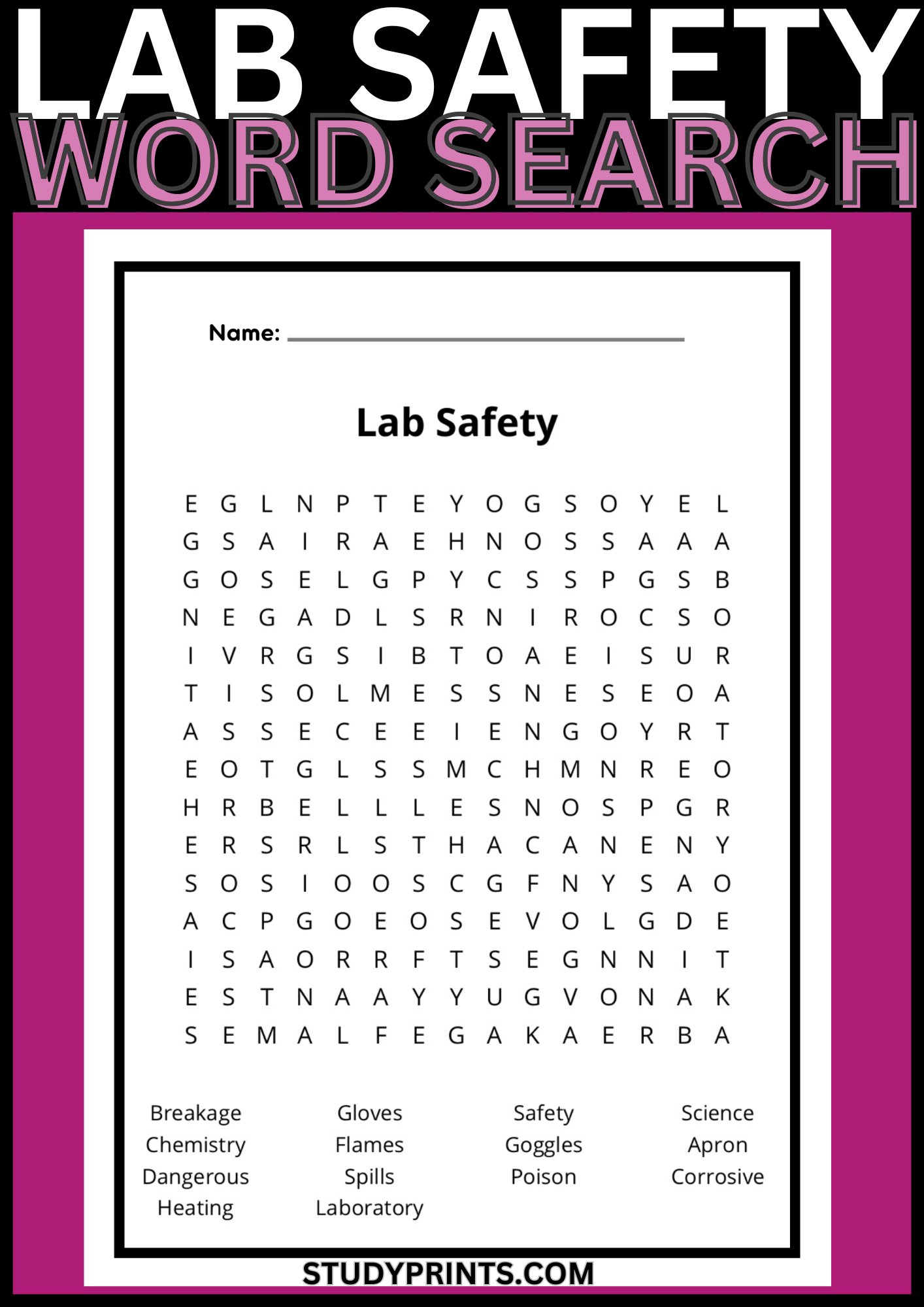 Lab Safety Word Search Printable product image (1)