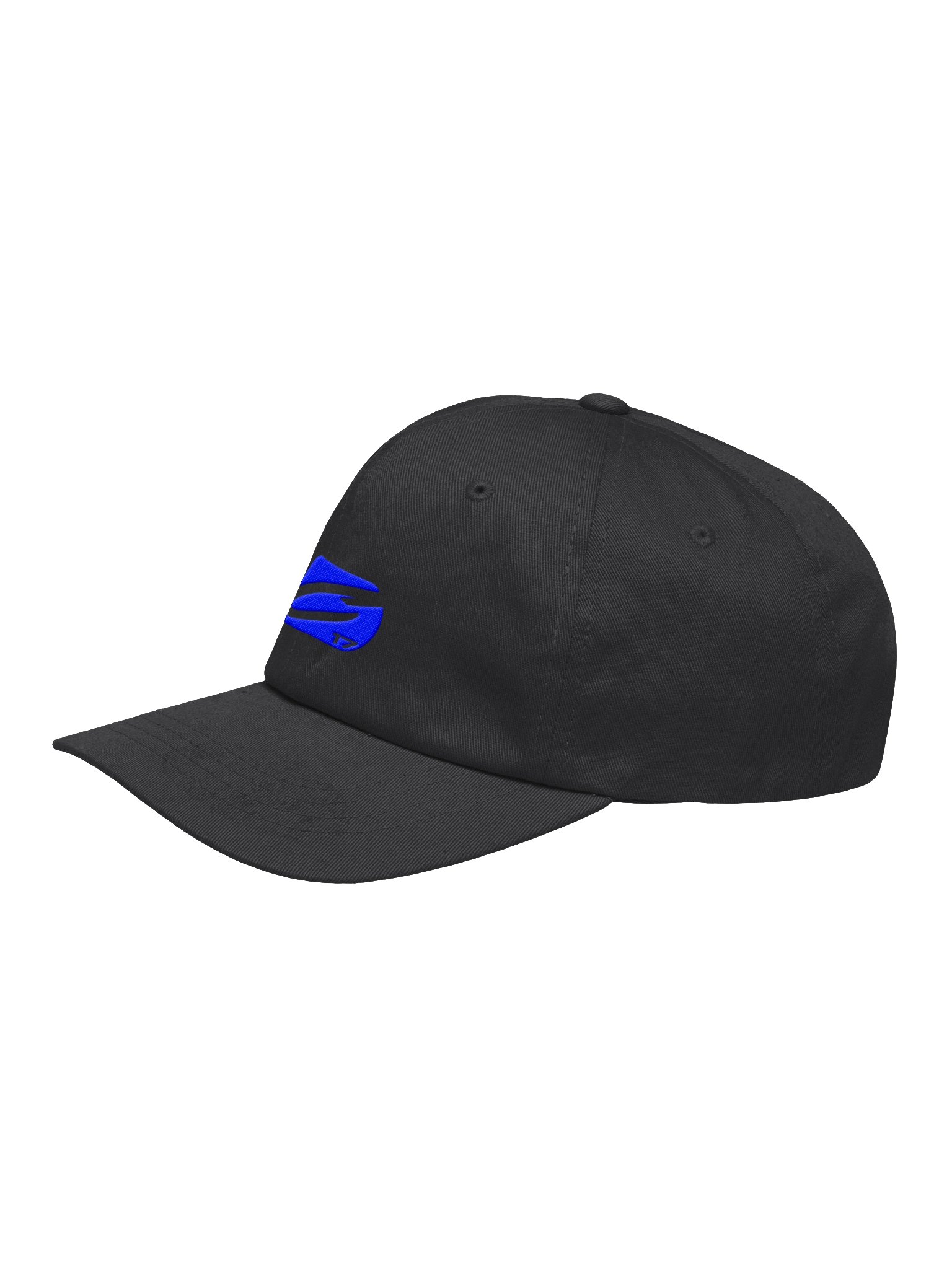 C17 Logo Hat product image (3)
