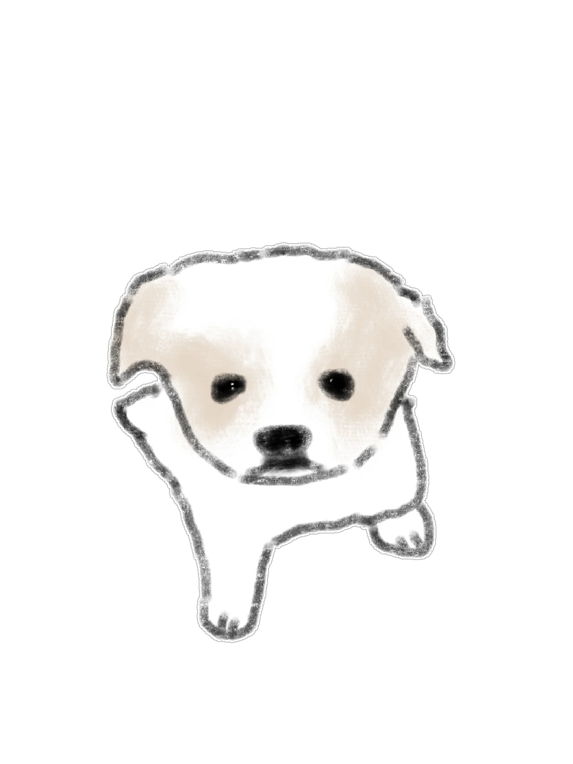 20 Dog Care & Daily Pet Routine PNG Clipart Bundle product image (7)