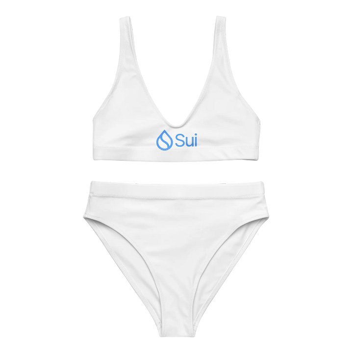 High Waisted Bikini/Sui product image (1)