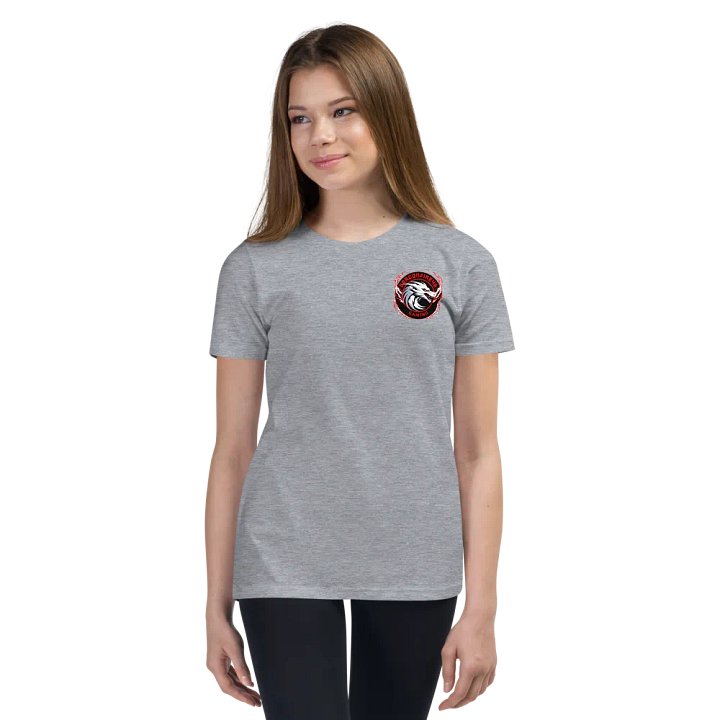 Dragonfire46 Gaming Official Youth Tee Merch product image (2)