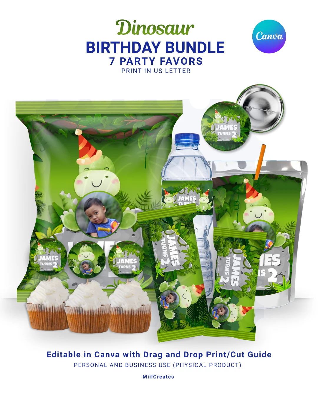 Dinosaur Birthday Party Favors product image (1)