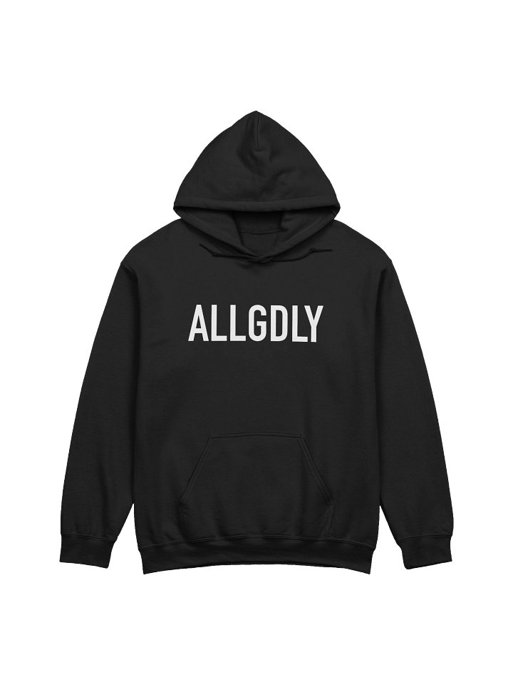 Allegedly Hoodie - Printed product image (3)
