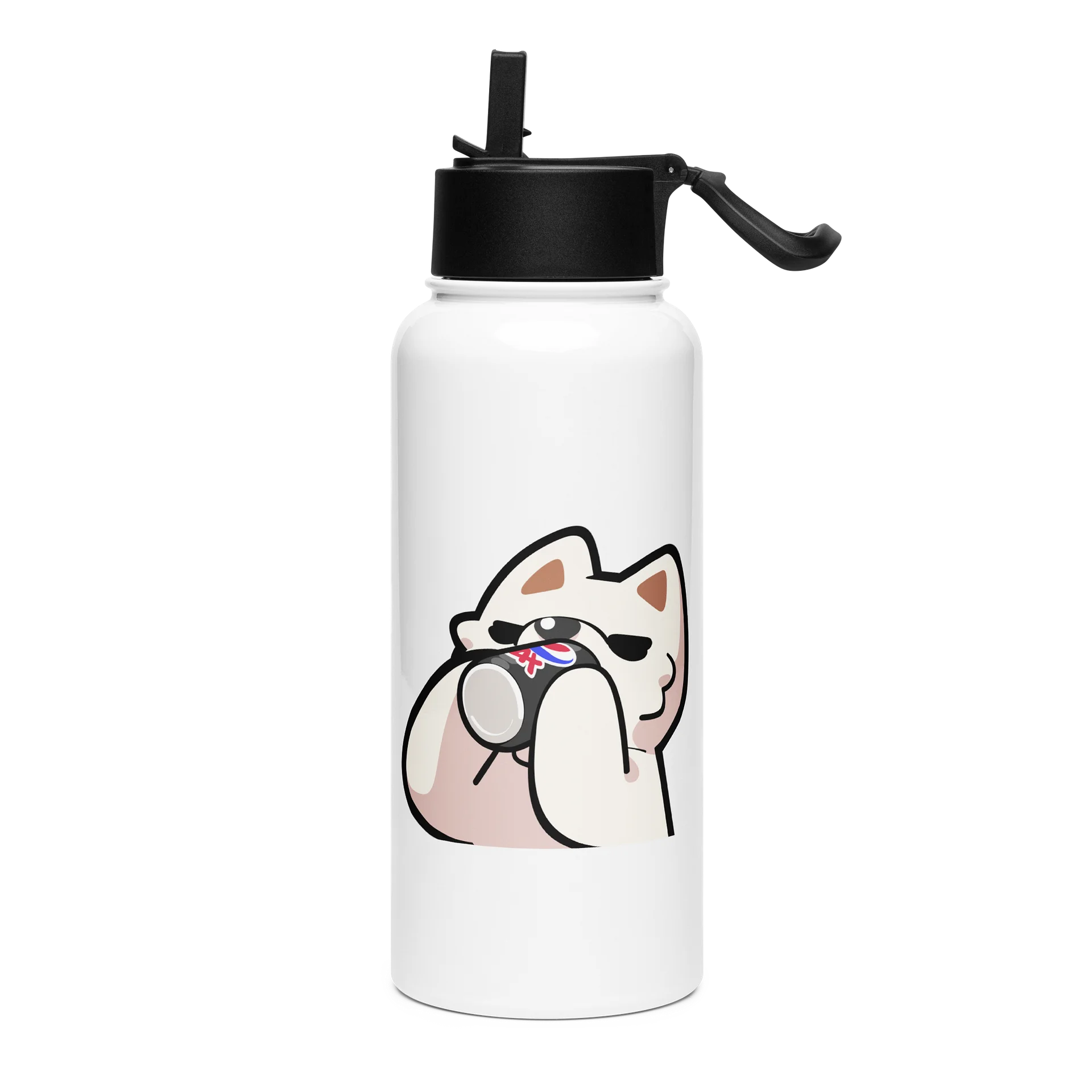 Sip Stainless Steel Water Bottle with a Straw product image (1)