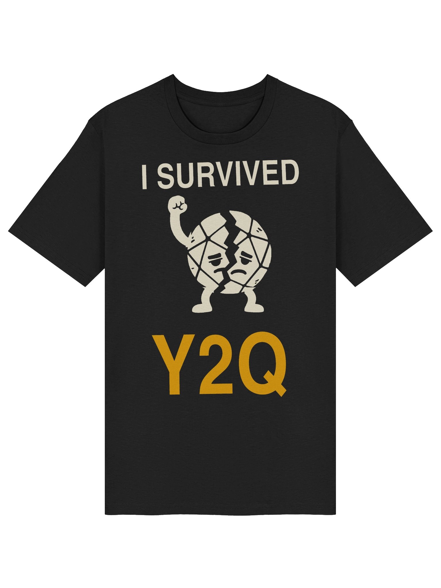 I Survived Y2Q product image (2)