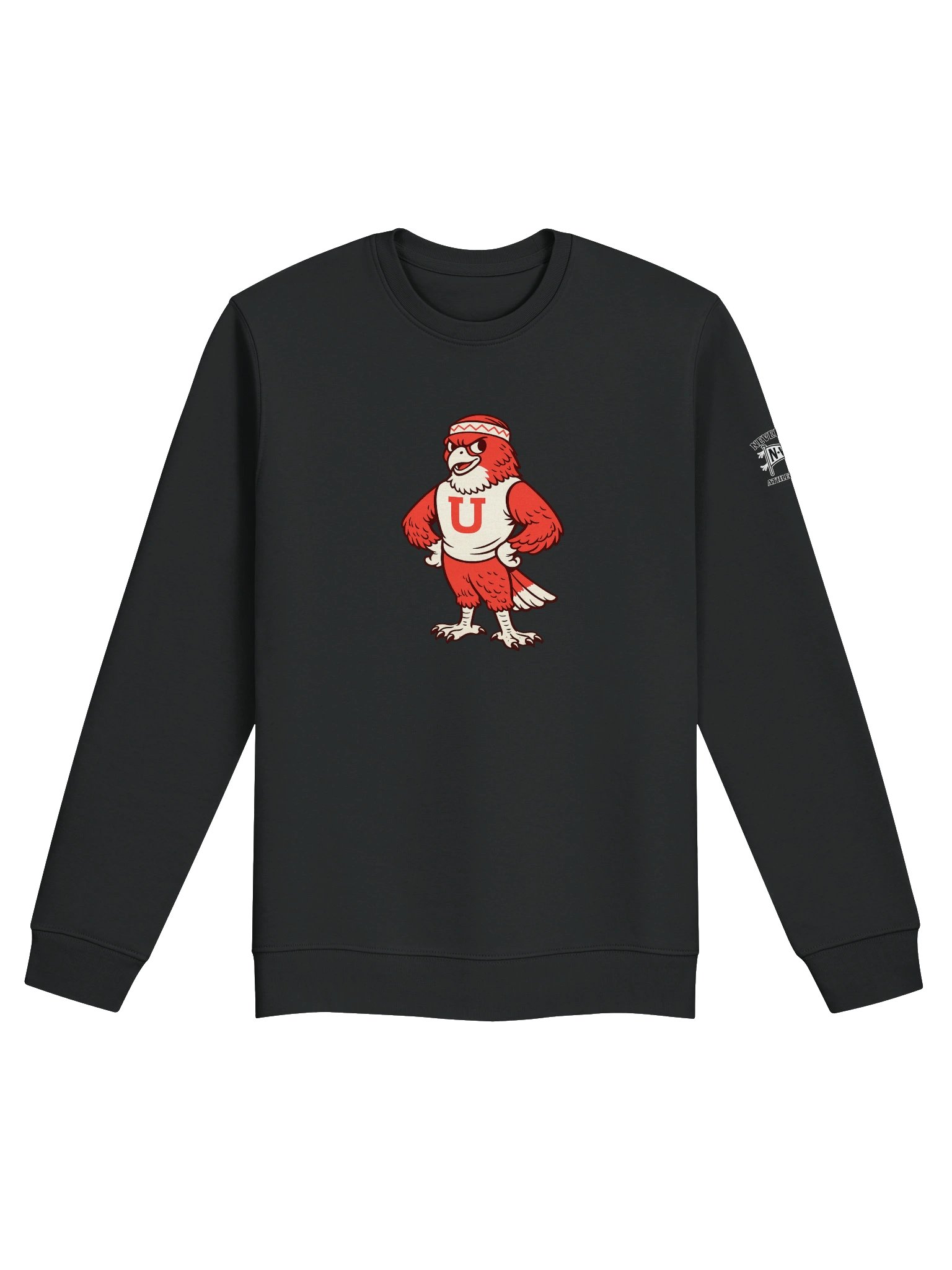 Vintage Red-Tailed Hawk Collegiate Crew product image (1)